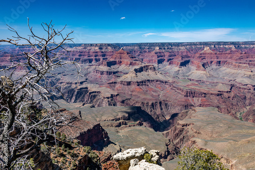 Springtime on the South Rim of Grand Canyon National Park photo