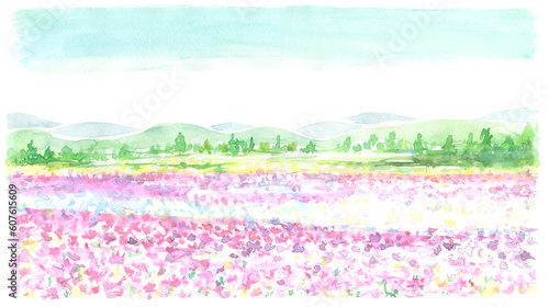 水彩で描いた芝桜の風景イラスト