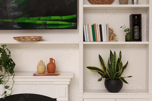 TV and shelves with different decor and houseplants in room. Interior design