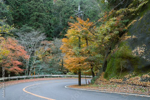 Minoh Park autumn colorful forest mountain road in Osaka, Japan photo