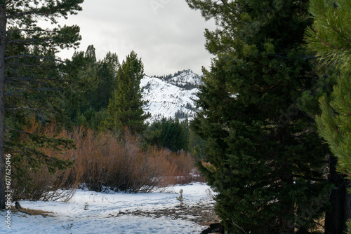 Hiking Washoe Meadows State Park in Lake Tahoe in the winter