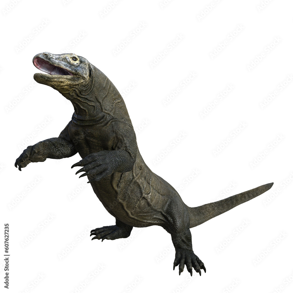 Komodo isolated 3d render