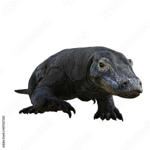 Komodo isolated 3d render