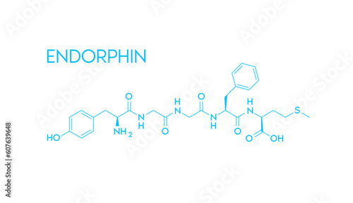 Endorphin structural chemical formula isolated on white background. Hormone in human brain. Medical scientific concepts. Vector EPS10 illustration. photo