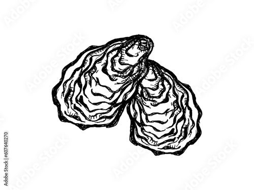 Oysters vector icon. Isolated illustration of an oyster shell. A seafood delicacy. Sketch of food. Fresh sea clam in the shell. Hand-drawn marine animal. Bivalve molluscs. Monochrome element.