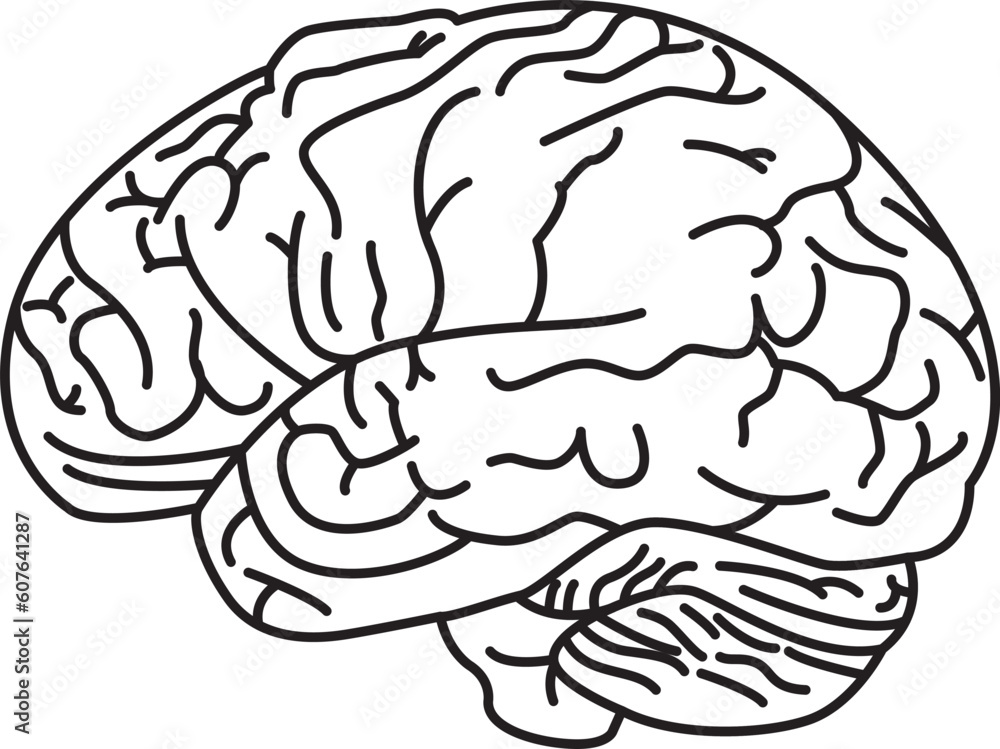 a human brain-shaped vector icon design that is meaningful about human knowledge, this design has the theme of knowledge. This design can be used as an illustration of human intelligence. a human brain-shaped vector icon design that is meaningful about human knowledge, this design has the theme of knowledge. This design can be used as an illustration of human intelligence.