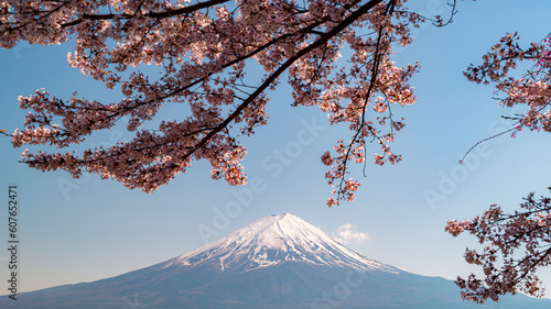 beautiful Mountain Fuji with cherry blossom(Sakura) at Lake kawaguchiko in japan in spring season.
