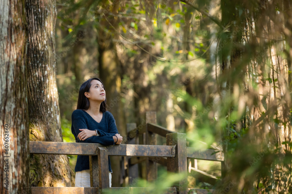 Fototapeta premium Asian woman in the forest