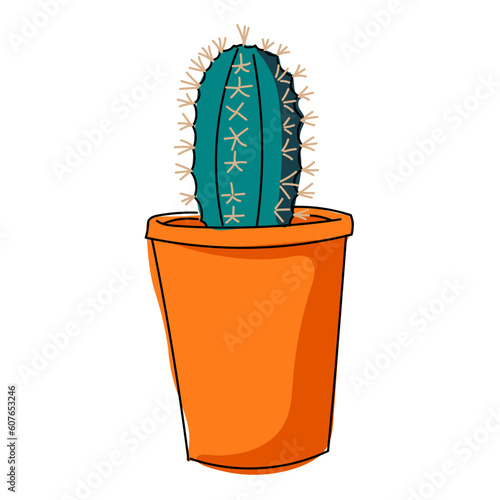 cactus in flowerpot
