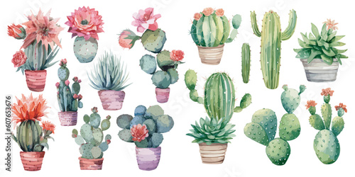 watercolor cactus clipart for graphic resources