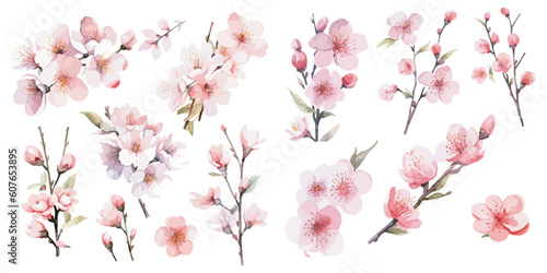 watercolor sakura blossom clipart for graphic resources