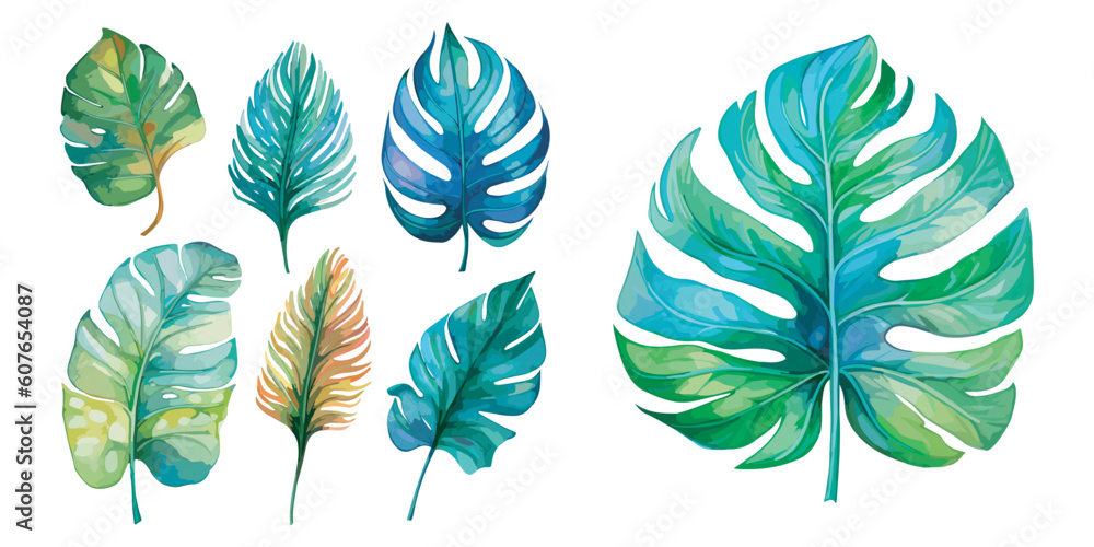 watercolor monstera clipart for graphic resources - obrazy, fototapety, plakaty 