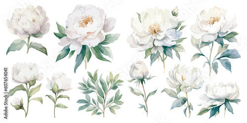watercolor peony clipart for graphic resources photo