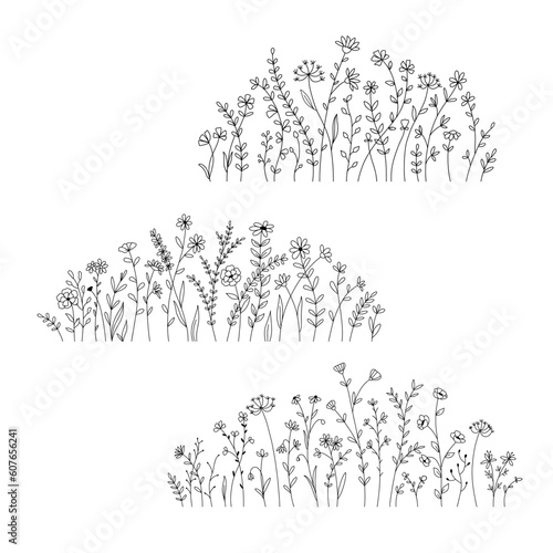Vector wild herbs and flowers doodle illustration. Field with grass and wildflowers isolated on white
