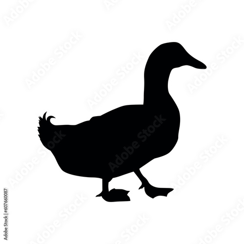 duck silhouette