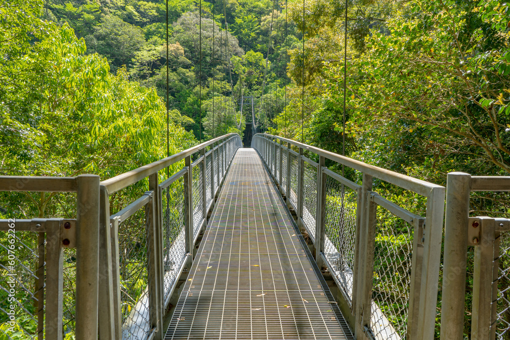 Fototapeta premium 照葉大吊橋坂遊歩道のかじかつり橋の風景（綾町）