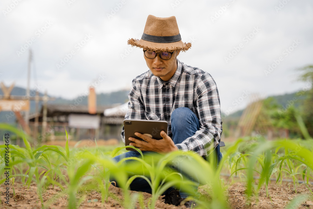 Farmers use the main information network in the internet from their tablets to monitor, test and select new crop methods for farmers.