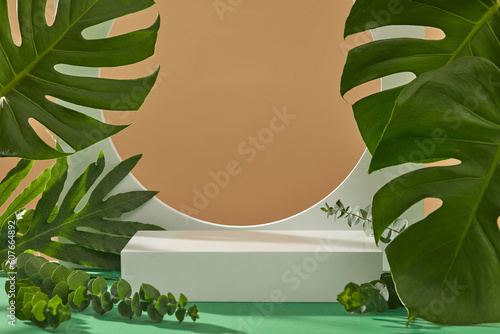 Cuadro en lienzo Natural scene with many fresh tropical leaves decorated around the podium