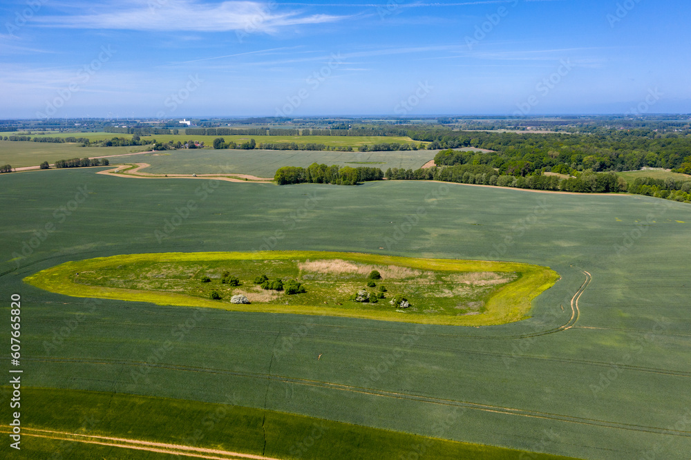Naklejka premium Agricultural landscapes in northern Germany in summer