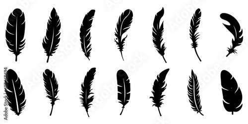 Feather icons. Set of black feather icons isolated. Feather silhouettes. photo