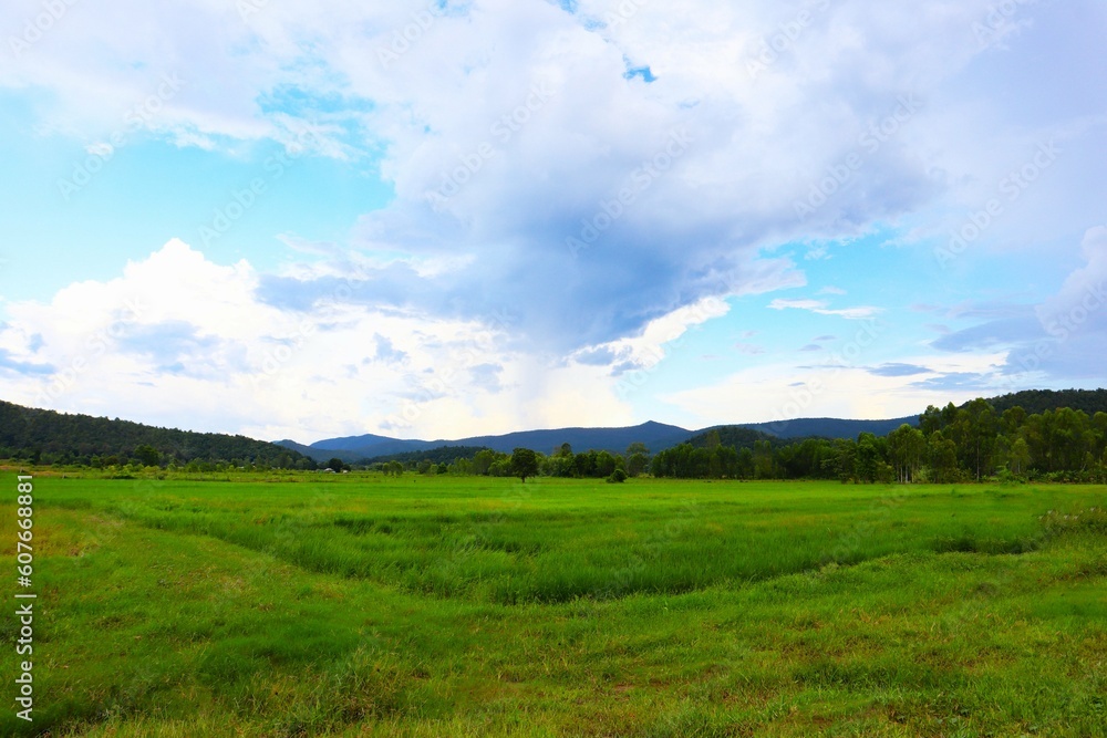 Northern Thailand beautiful panoramic natural scenery background for use in your various advertising media.