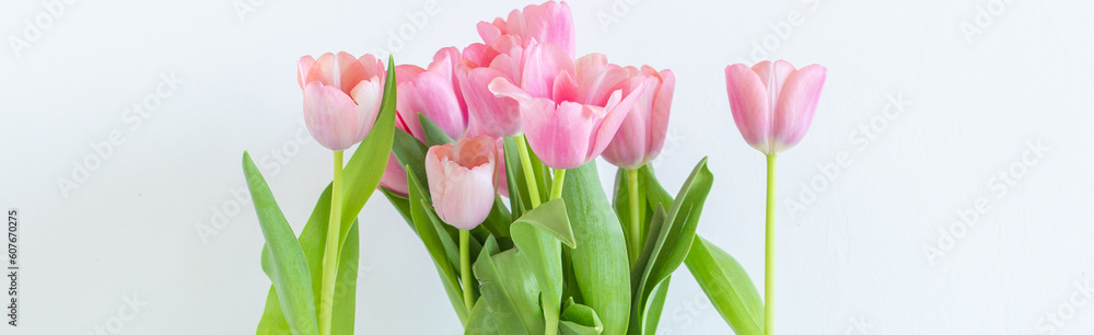 Naklejka premium Pink tulips bouquet in glass vase on white background copy space