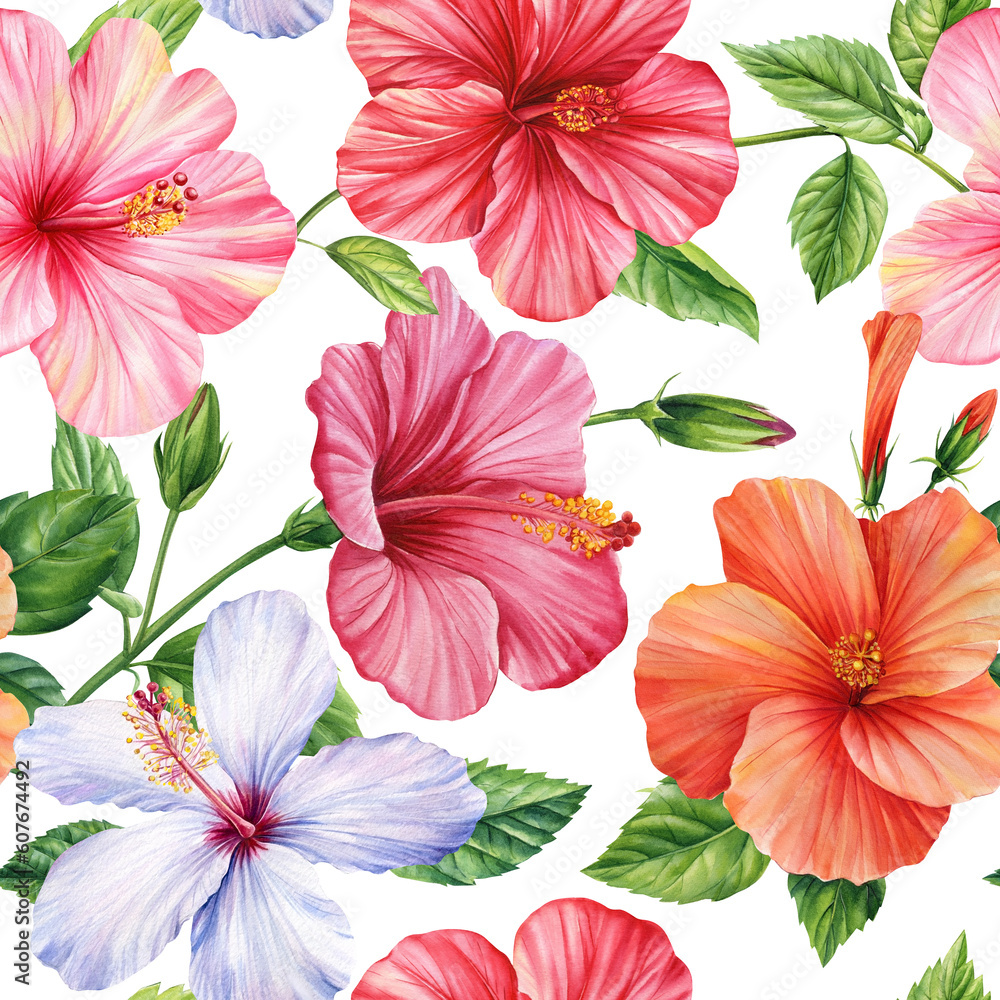 Tropic summer flower hibiscus, tropical colorful floral. Exotic jungle wallpaper. watercolor botanical seamless pattern