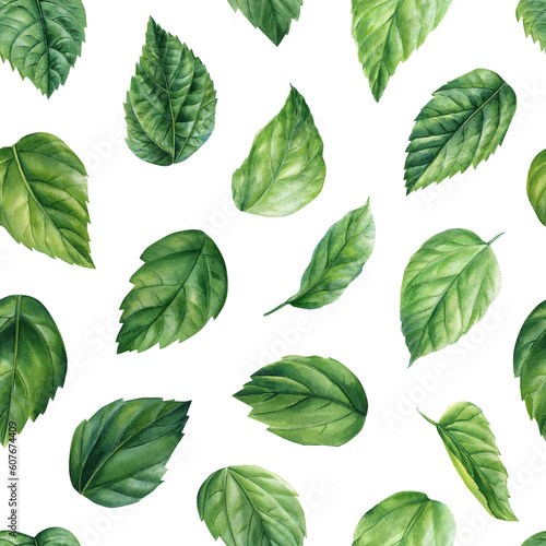 Green leaves seamless pattern, exotic tropical plants, jungle wallpaper. Watercolor botanical pattern, hibiscus leaf © Hanna