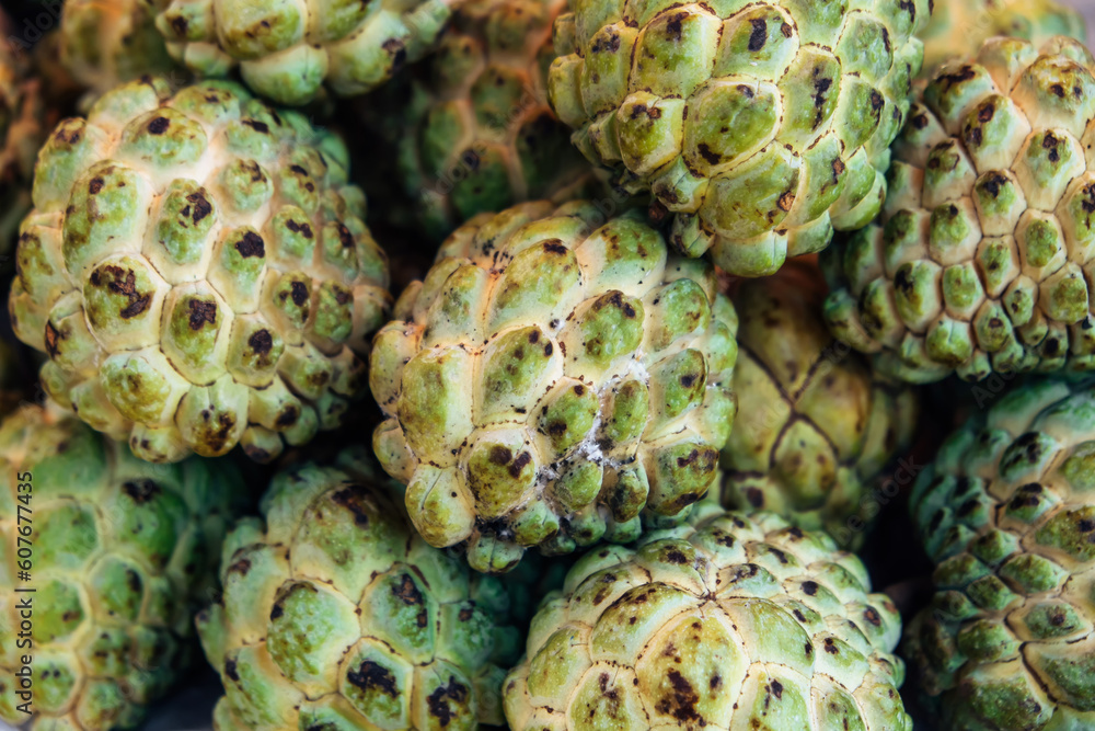 Lots of Sugar apple or custard apple in market, ripe exotic tropical fruits, healthy food, diet and vegetarian nutrition Lots of Sugar apple or custard apple in market, ripe exotic tropical fruits, healthy food, diet and vegetarian nutrition
