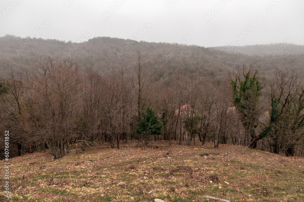 Misty mountain valley, forest, pine trees. Misty peak. Mountains in the mist of a beautiful spring. View of the mountain landscape on a foggy day. Mountain landscape in fog. Misty mountain valley, forest, pine trees. Misty peak. Mountains in the mist of a beautiful spring. View of the mountain landscape on a foggy day. Mountain landscape in fog.