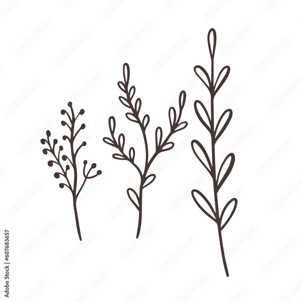 Single line floral branches set. Line art drawing vector art illustration. Single line floral branches set. Line art drawing vector art illustration.