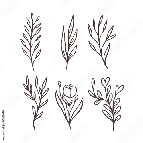 Monochrome line art drawing style branches and flowers set.