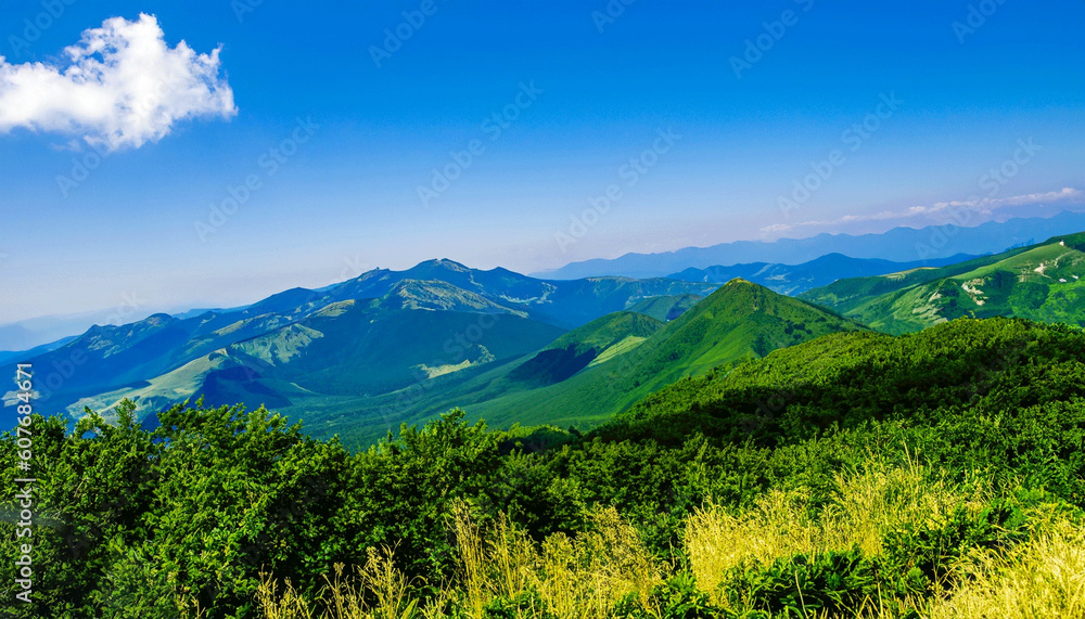 Obraz premium Landscape in summer with trees and meadows in bright sunshine 