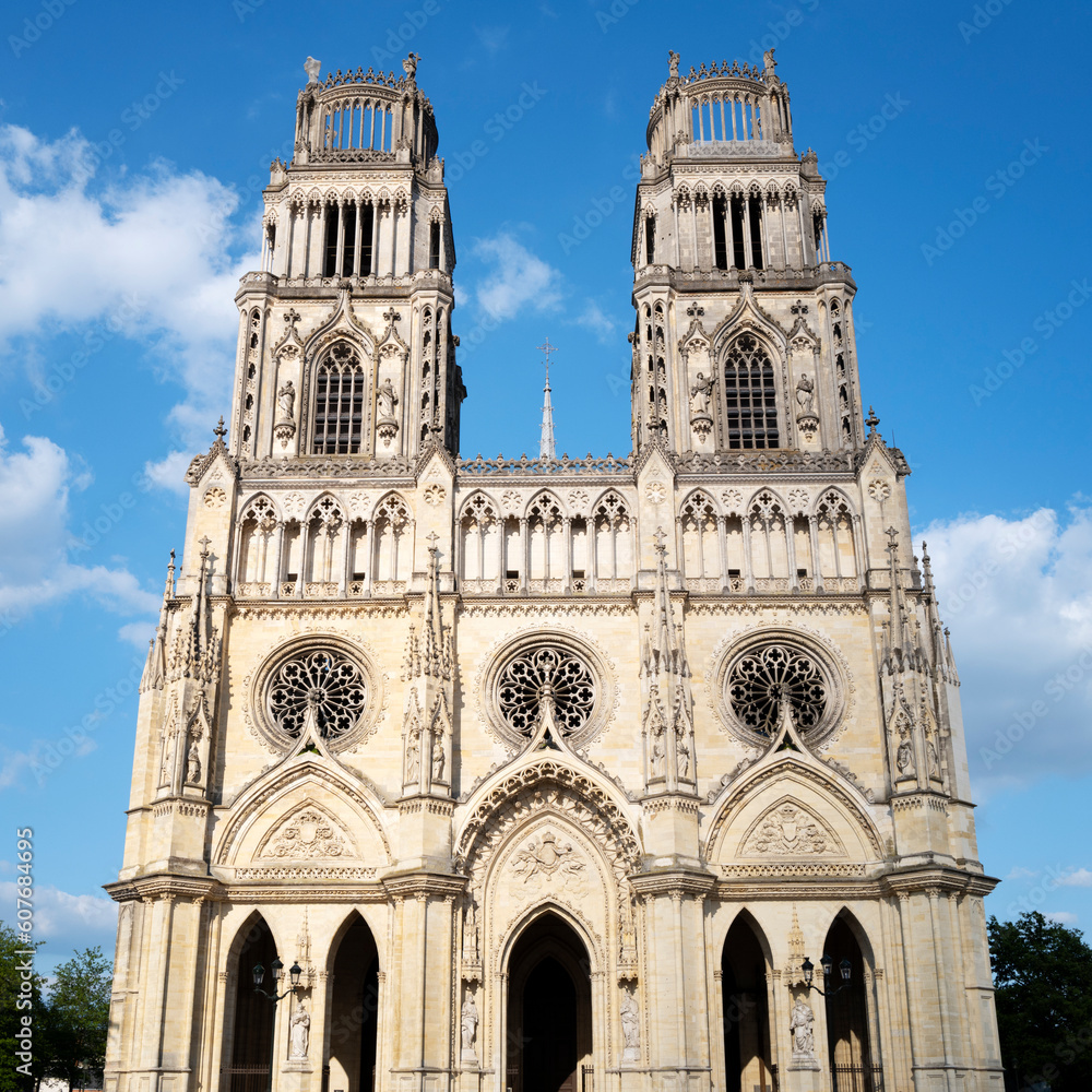 Fototapeta premium Enter of cathedral Sainte-Croix, Orléans