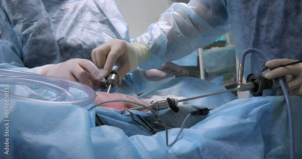 Video „Side view. Endoscopic sterilization of a dog. The work of a team