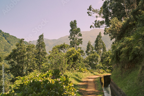 Grüne Landschaft mit Wanderweg an Levadas auf Madeira