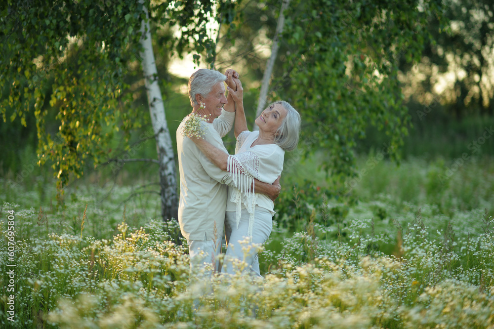 Fototapeta premium Portrait of a happy elderly couple spending time together