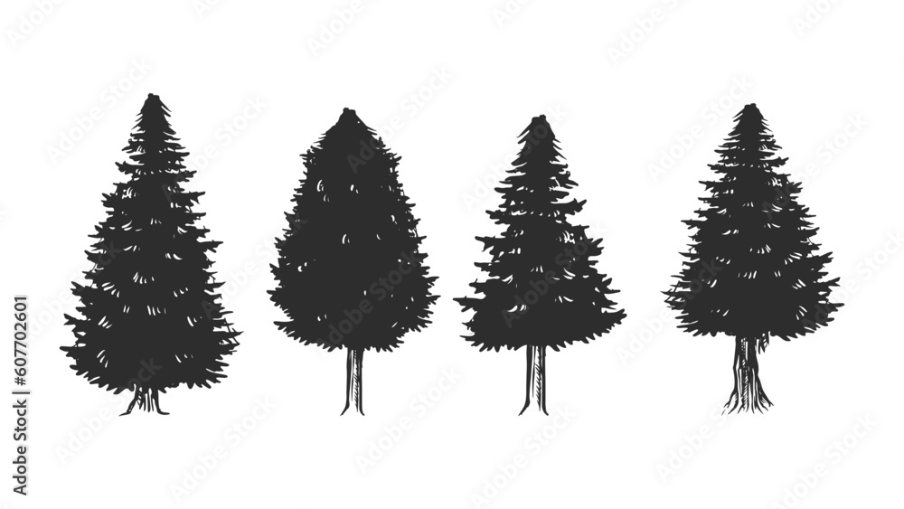 Tree hand drawing, pine trees sketch vintage silhouette vector illustration, isolated objects.