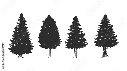 Tree hand drawing, pine trees sketch vintage silhouette vector illustration, isolated objects.