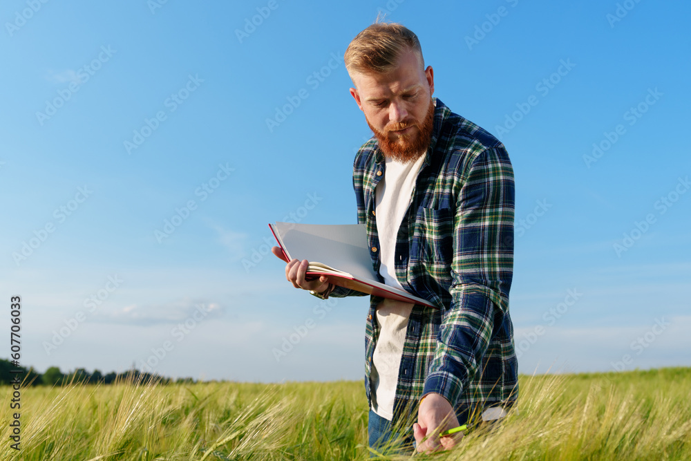 A bearded farmer with a notebook checks the quality of the grown wheat and writes it down in a notebook. Harvest preparation during the food crisis in the world A bearded farmer with a notebook checks the quality of the grown wheat and writes it down in a notebook. Harvest preparation during the food crisis in the world