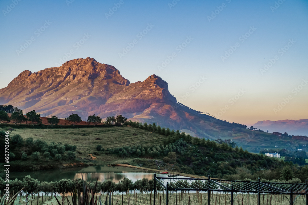Stellenbosch wine farm with majestic mountains in the background at sunset. 