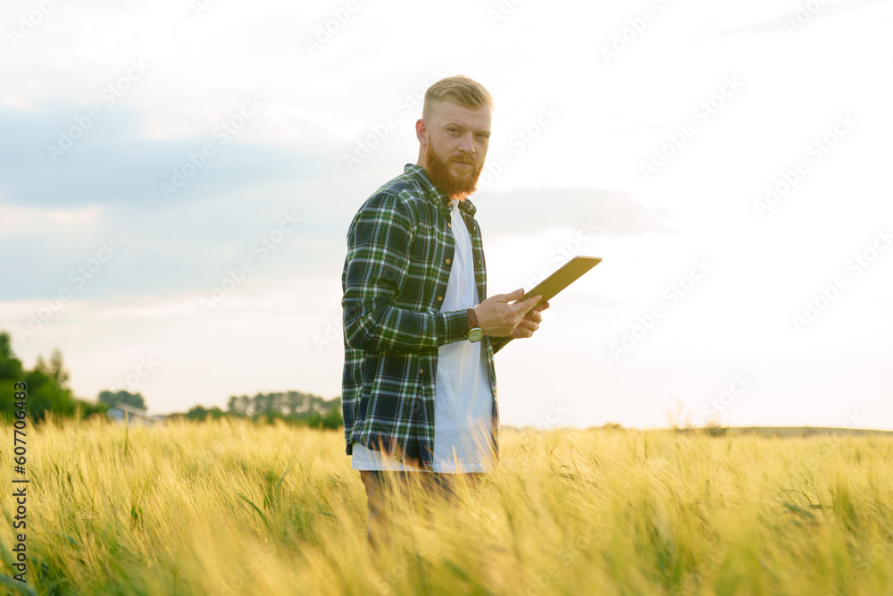 A farmer man with a tablet stands on a wheat field in the beautiful setting sun A farmer man with a tablet stands on a wheat field in the beautiful setting sun
