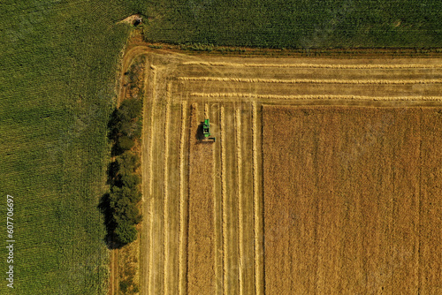 Aerial view of harvester and tractor during cereal harvest in Brandenburg, Germany. photo