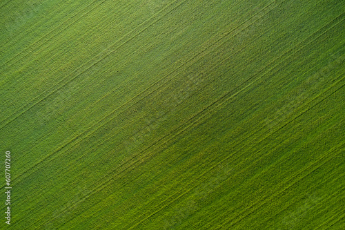 Green grass soccer field background. Aerial view of a grass plantation. Plantation green grass top view. Top view of the football field.