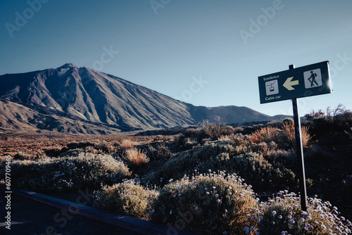 Blick auf den Teide, Teneriffa
