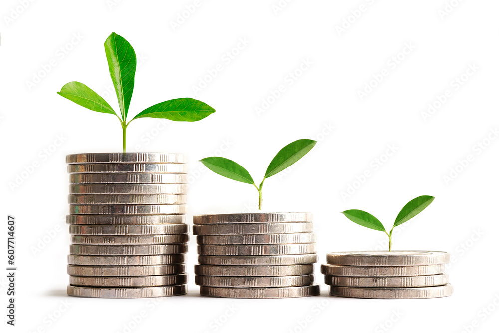 Green leaf plant on save money coins, Business finance saving banking investment concept. Green leaf plant on save money coins, Business finance saving banking investment concept.