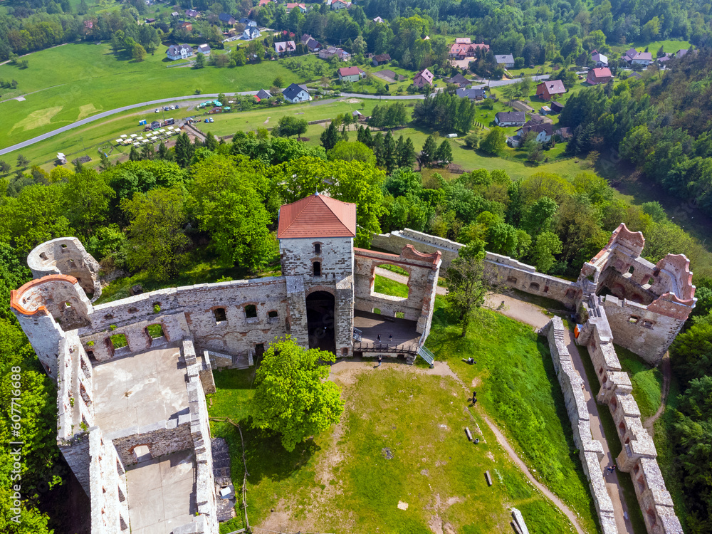 Aerial view landscape Poland Tenczyn castle in Rudno. Drone photo, park, ruins, forest, trees.