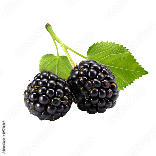 blackberry with leaves isolated transparent background photo