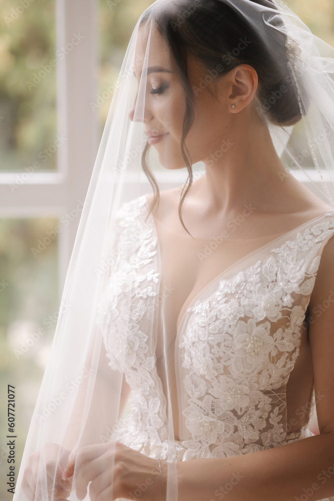 Portrait of gorgeous bride with veil over her face. Wedding day. Woman stand in front of window. Portrait of gorgeous bride with veil over her face. Wedding day. Woman stand in front of window.