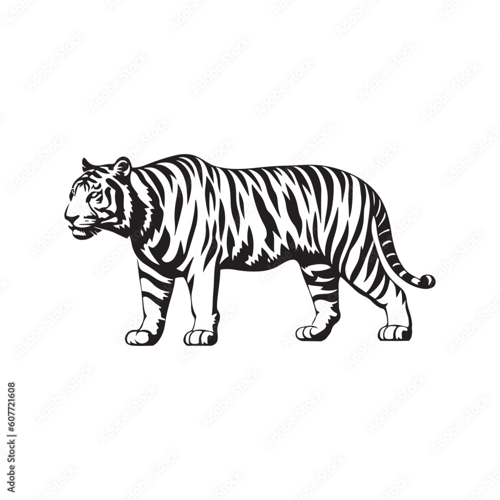 Naklejka premium Tiger Vector illustration. Bear Vintage Logo